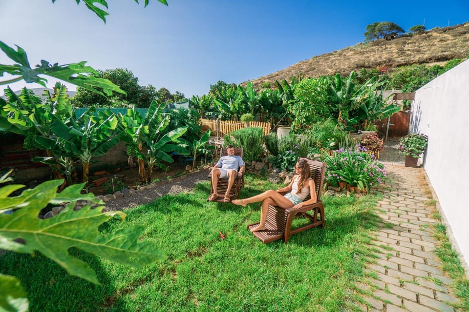 Natural landscape, Garden, Garden view