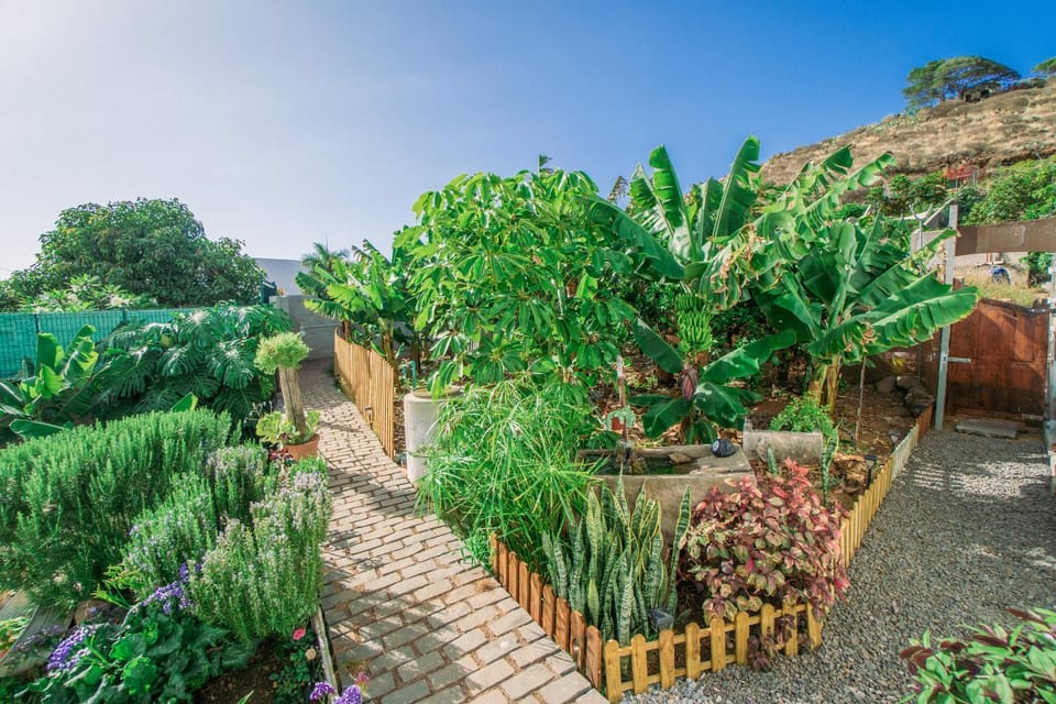 Spring, Day, Natural landscape, Garden, Garden view