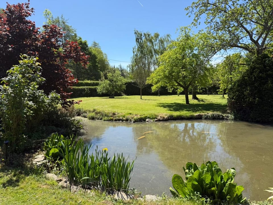 Spring, Day, Natural landscape, Garden, Garden view, Lake view