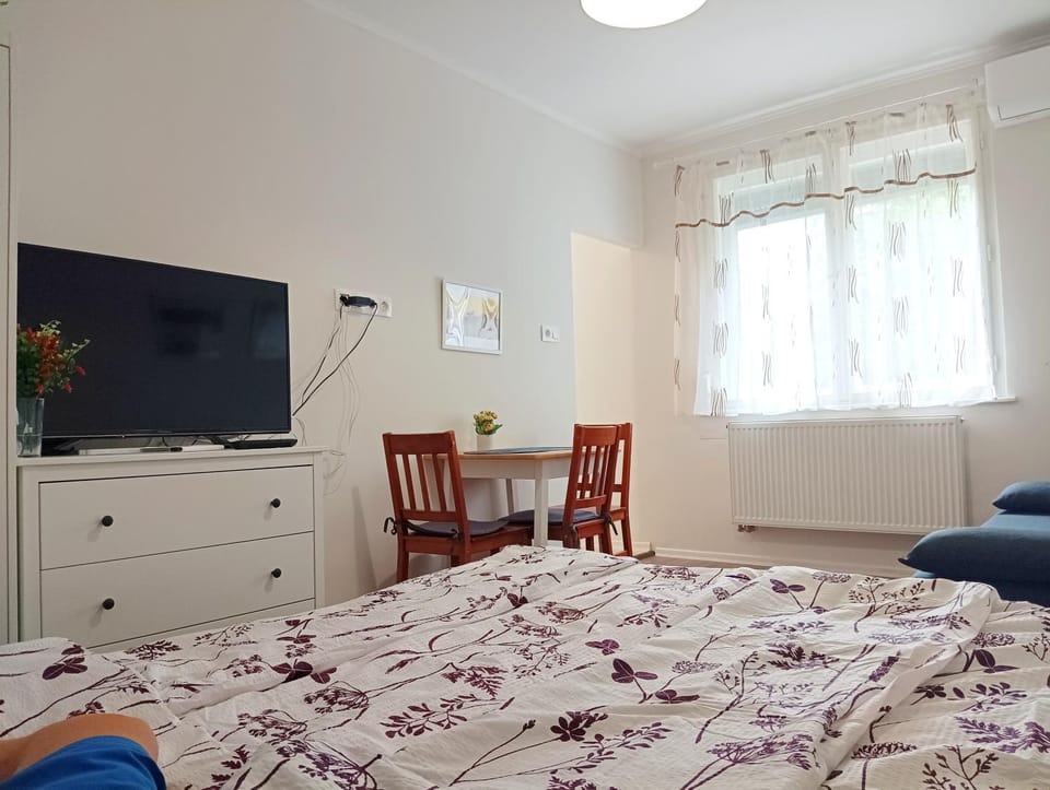 SaraHome3 Center Apartment in Szeged
