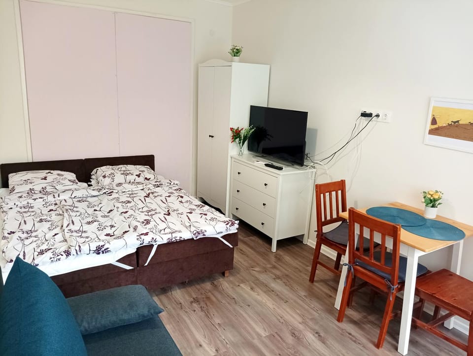 SaraHome3 Center Apartment in Szeged