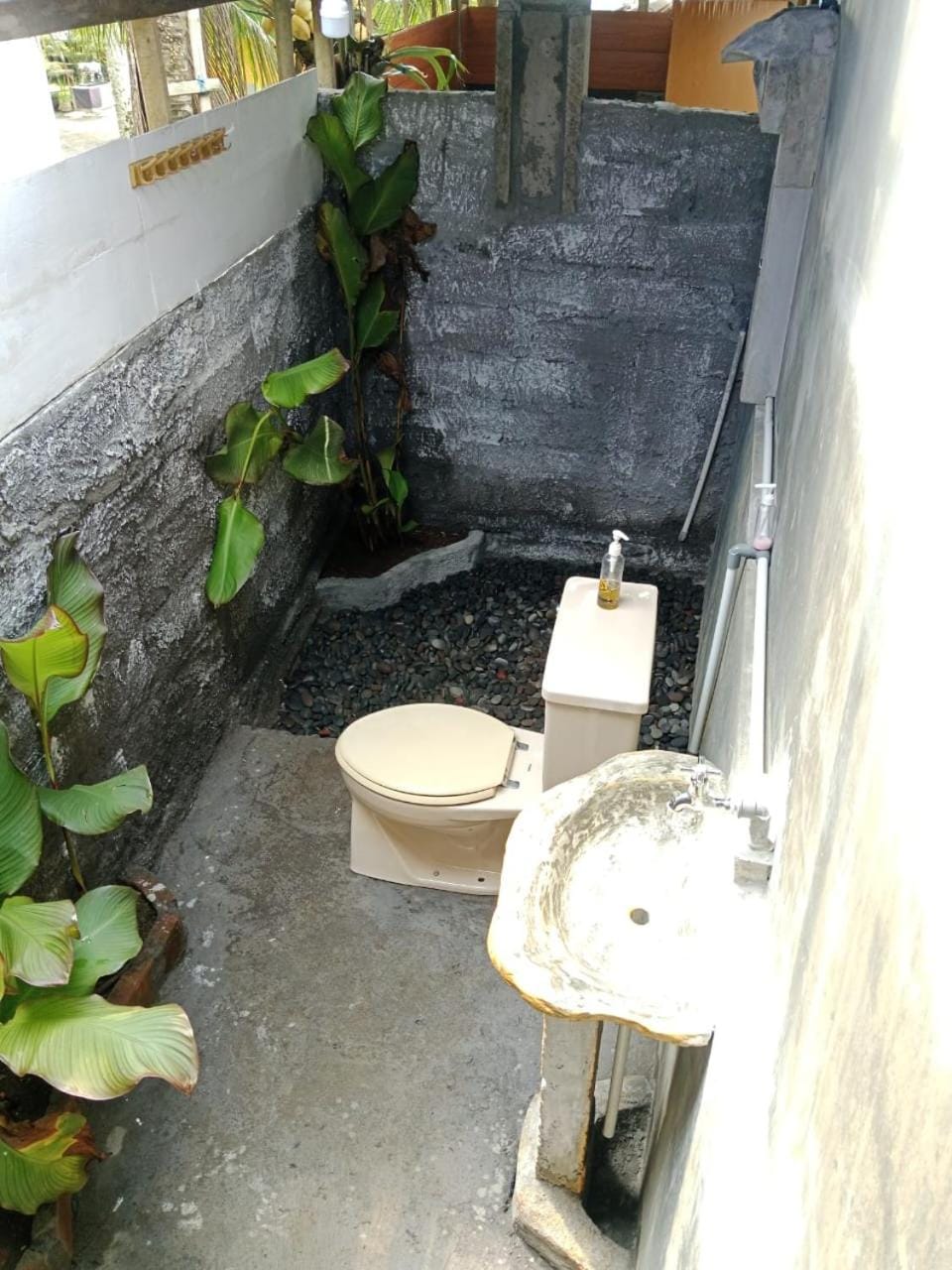 Toilet, Bathroom