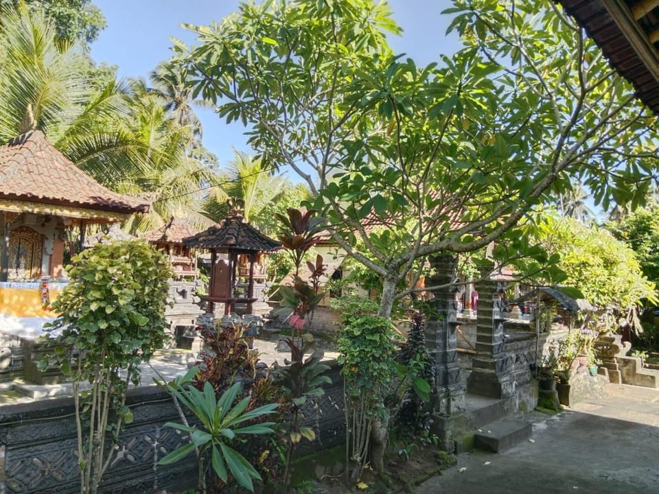 Property building, Day, Natural landscape, Garden, View (from property/room), Garden view