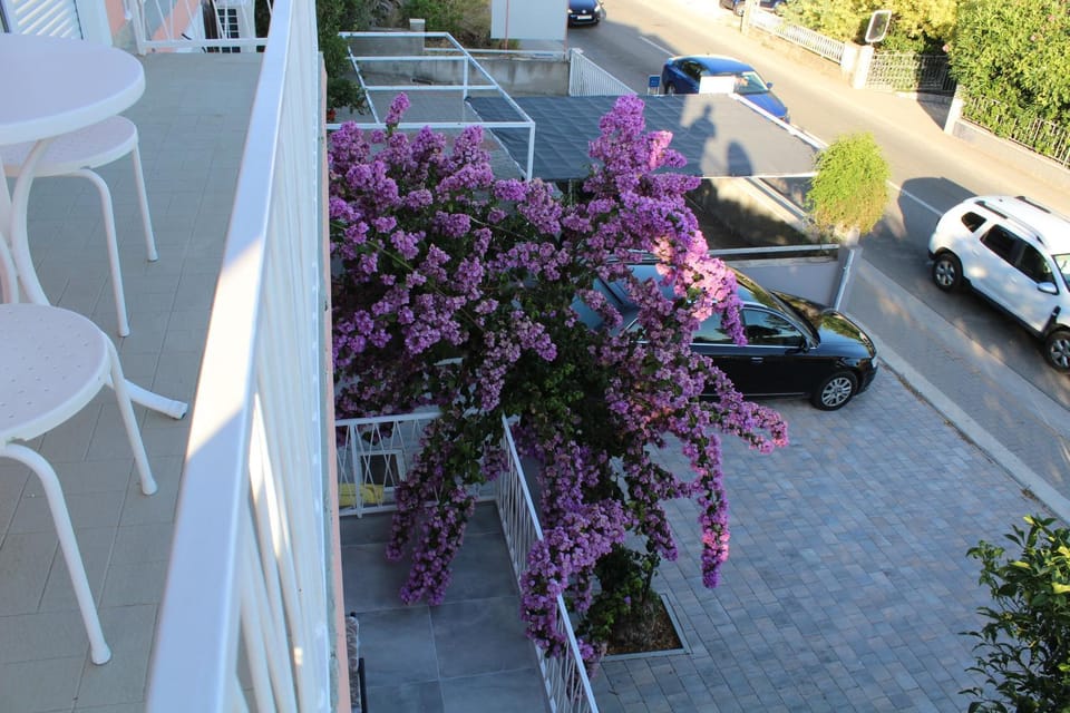 Garden, Parking