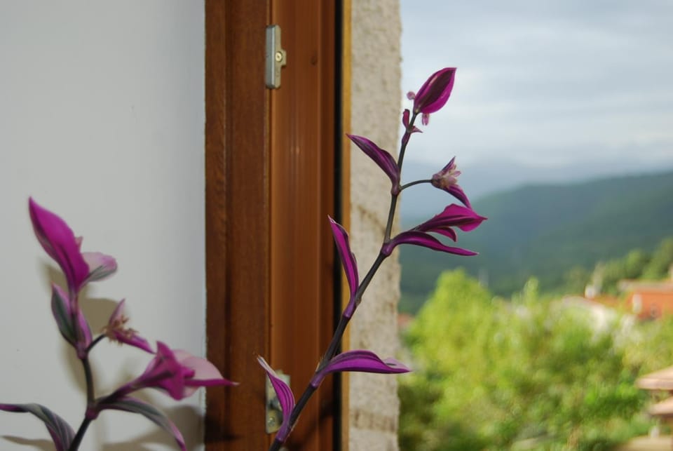 TreeStay - Modern 2 Floor 2 Bathroom Apartment Apartment in Molise, Italy