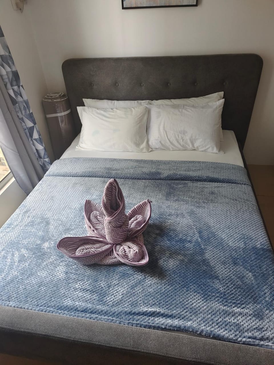Avida Towers Riala Tower1-1517 Apartment in Lapu-Lapu City