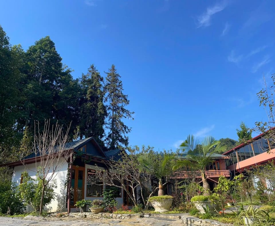 Property building, Restaurant/places to eat, Breakfast