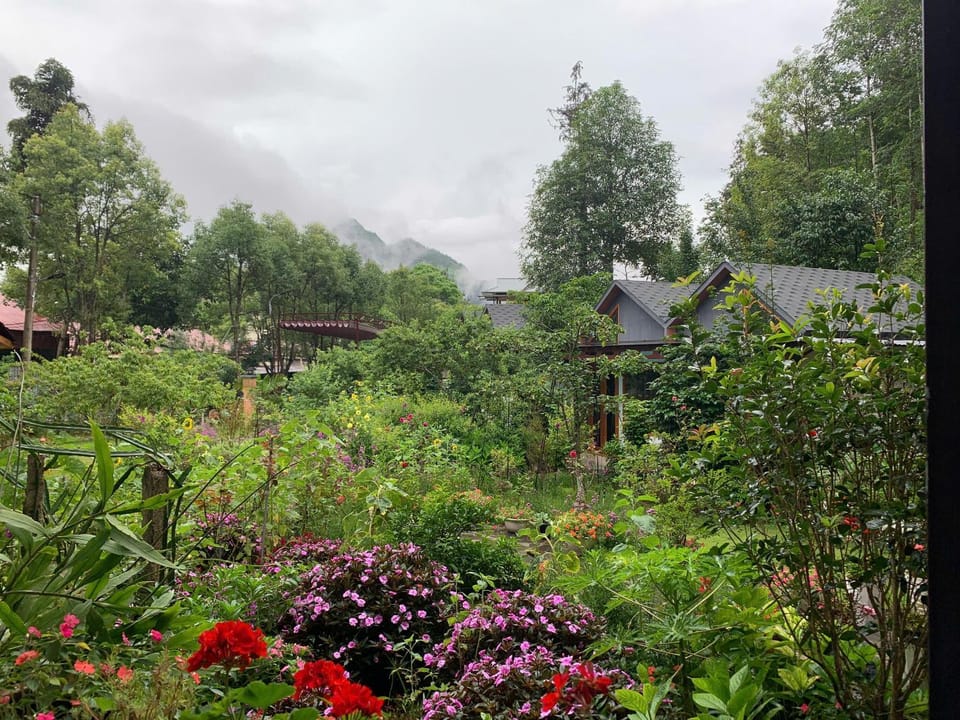 Spring, Garden, Garden view, Mountain view