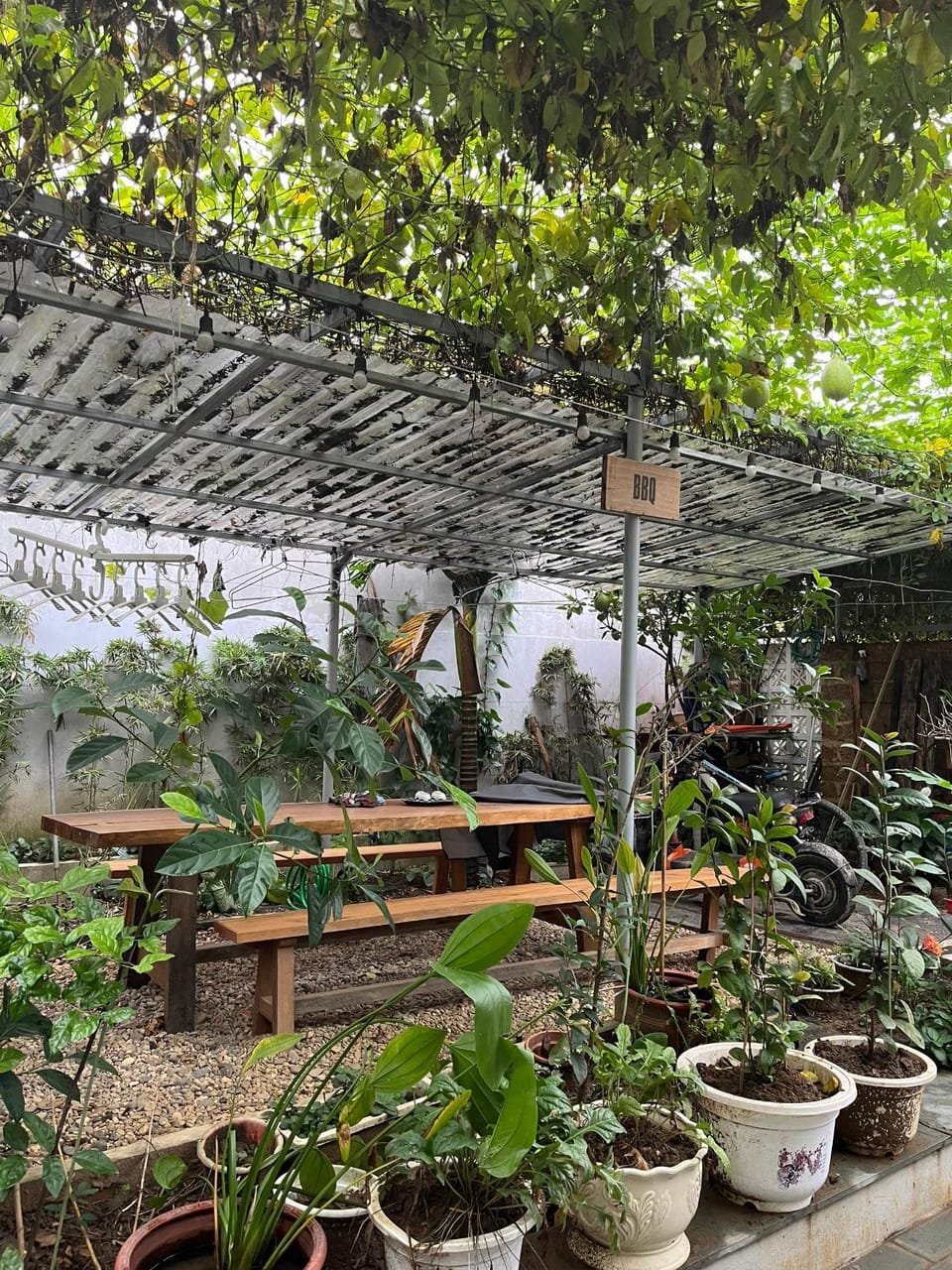 Spring, Day, Garden, Garden view, Inner courtyard view