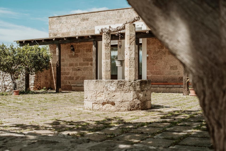 Garden, Inner courtyard view
