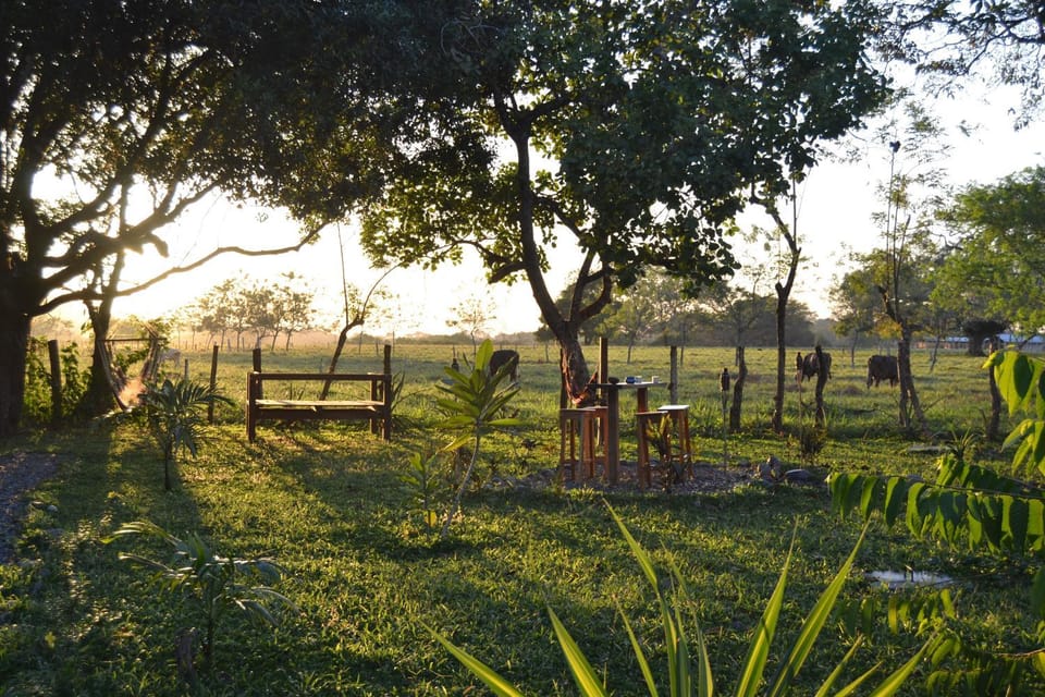 Garden, View (from property/room)