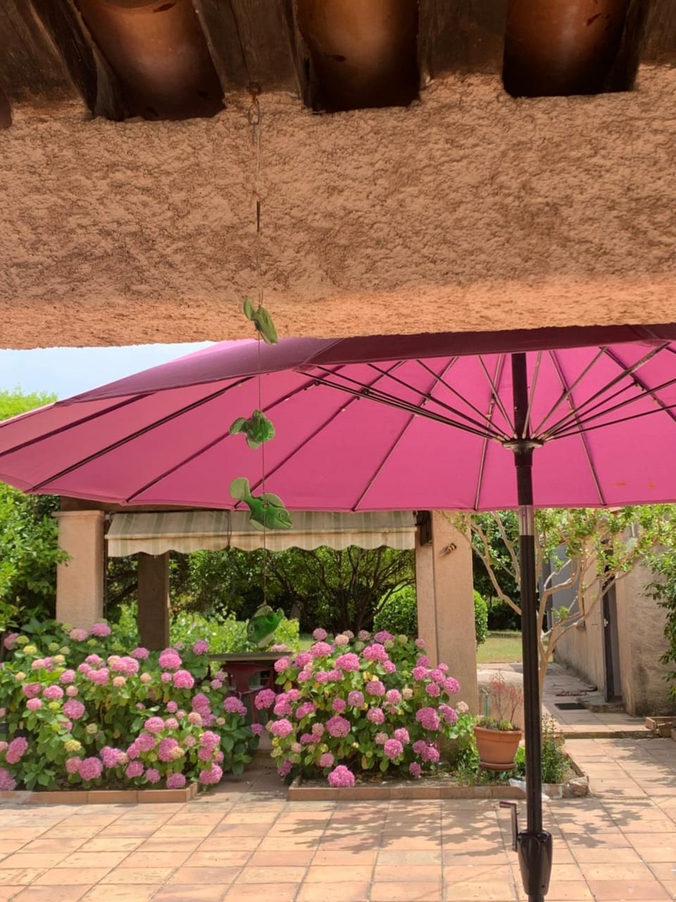 Patio, Garden view