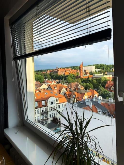 View (from property/room), City view