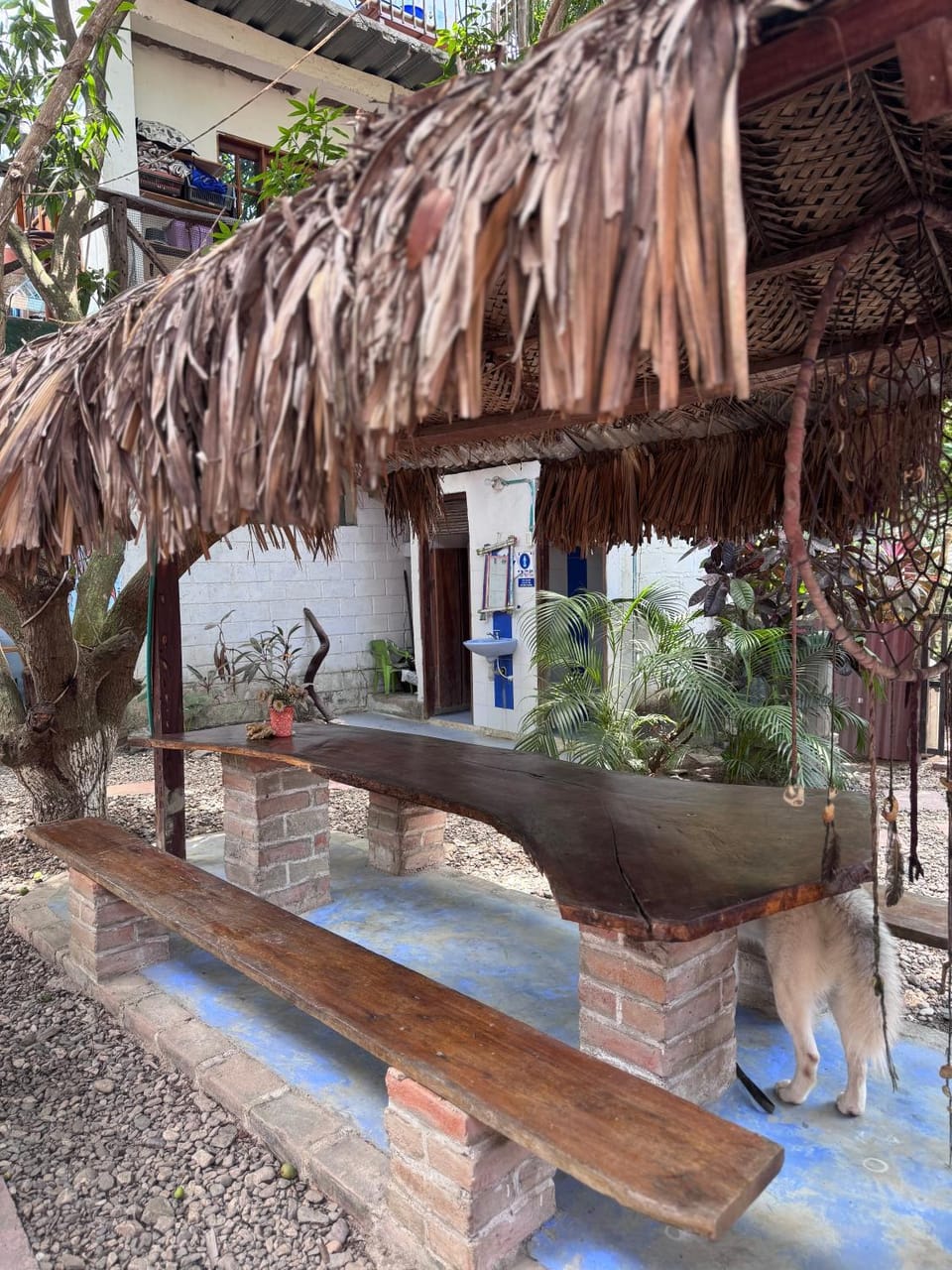Casa Surf Mar Azul Bed and Breakfast in Magdalena, Colombia