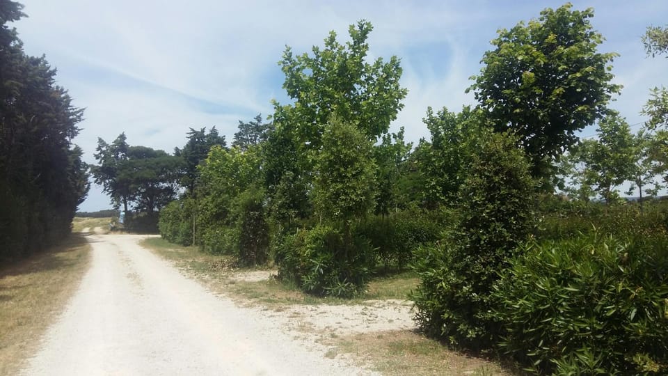 BNATURAL GLAMPING NATURISTA/NUDISTA Campground/ 
RV Resort in Tuscany