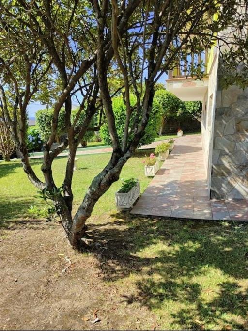 Spring, Day, Garden, Garden view