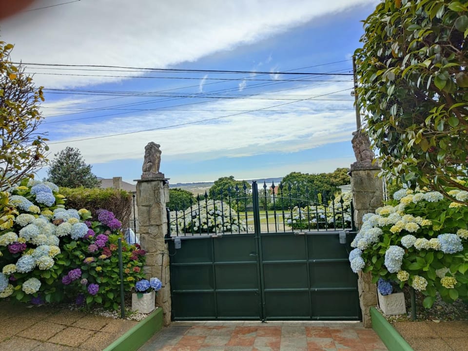 Spring, Day, Garden, View (from property/room), Garden view