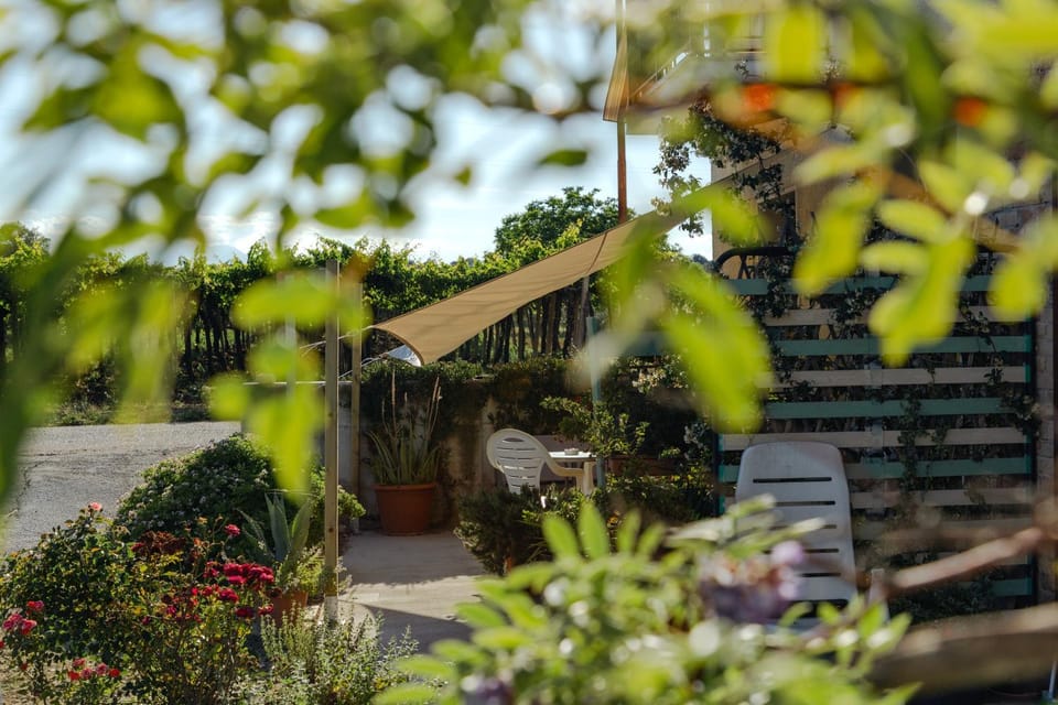 B&B La Ciammaruca Bed and Breakfast in Abruzzo