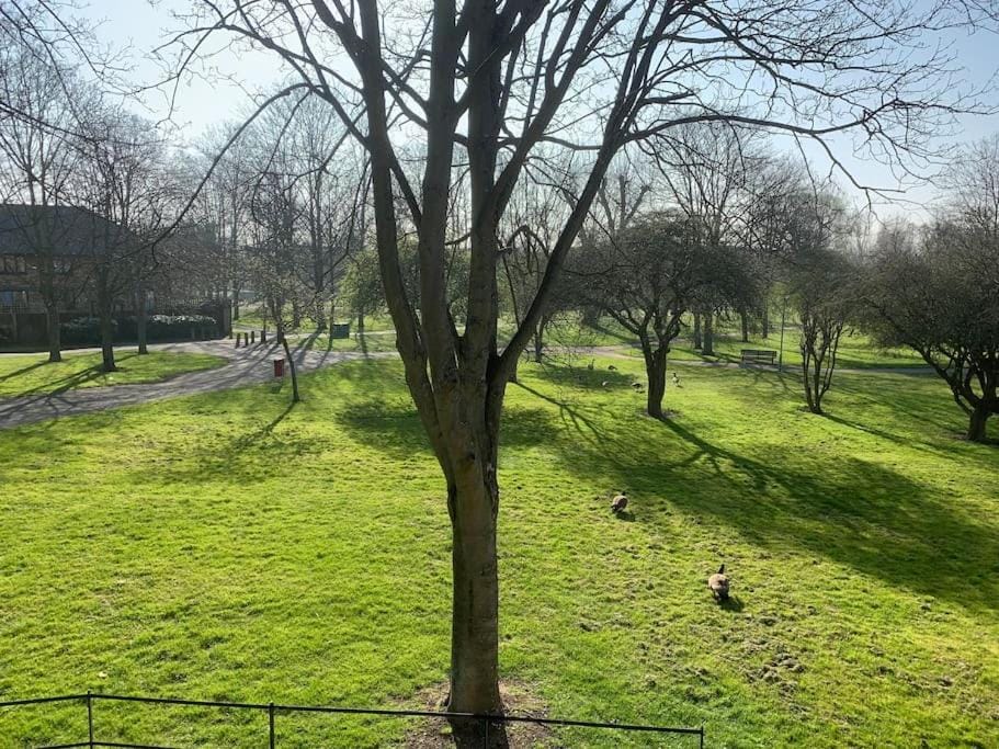 Property building, Garden, Garden view