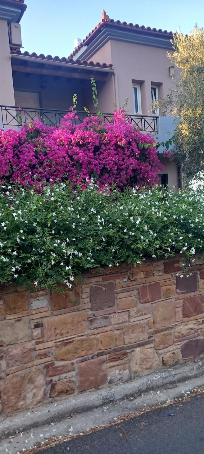 Property building, Garden, Garden view