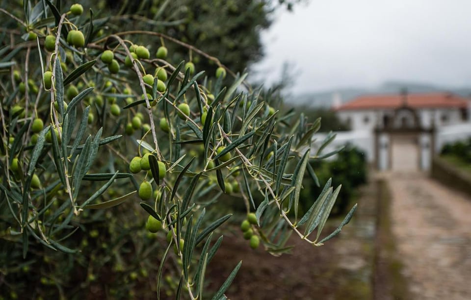 Natural landscape, Garden view