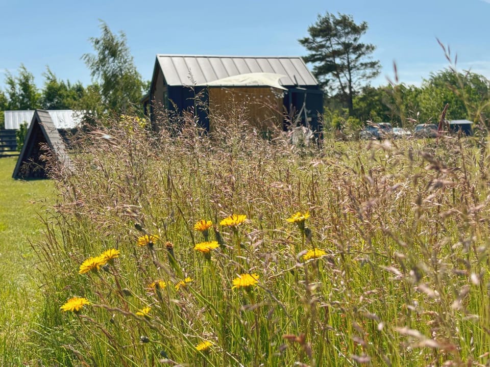 Rita Sapnis House in Klaipėda County, Lithuania