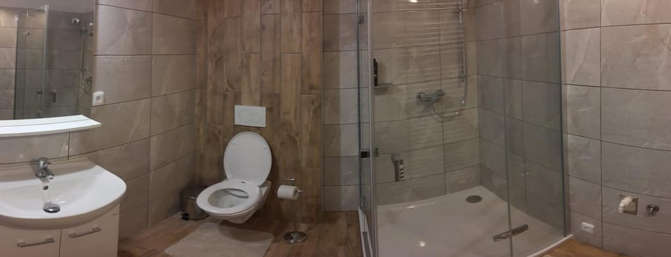 Shower, Toilet, Bathroom, towels