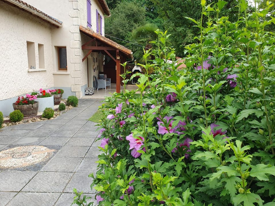 Property building, Day, Garden, Garden view