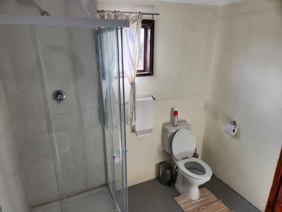 Shower, Toilet