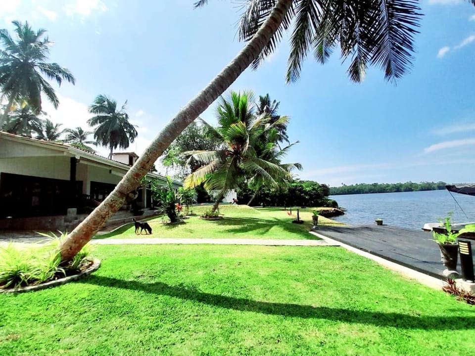 Day, Garden, Garden, River view