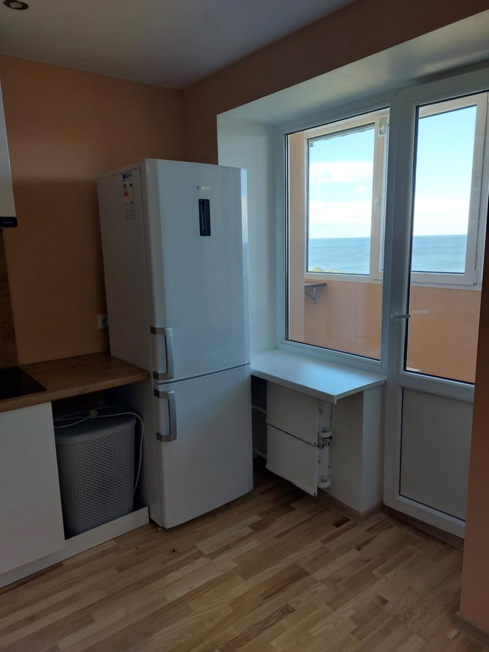 Kitchen or kitchenette, kitchen