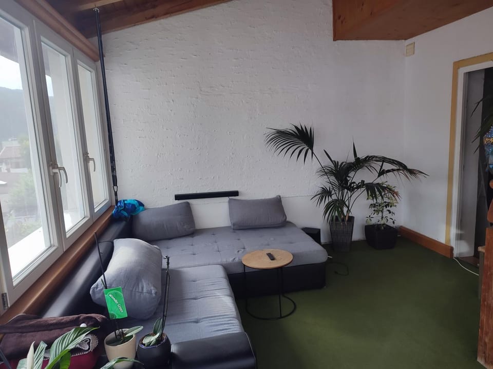 Apartment Salve & Sonne Apartment in Salzburgerland
