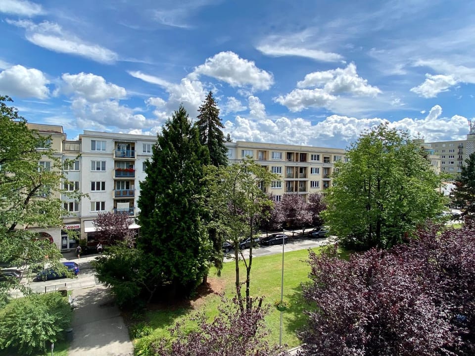 Garden view