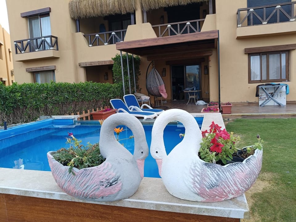Pool view