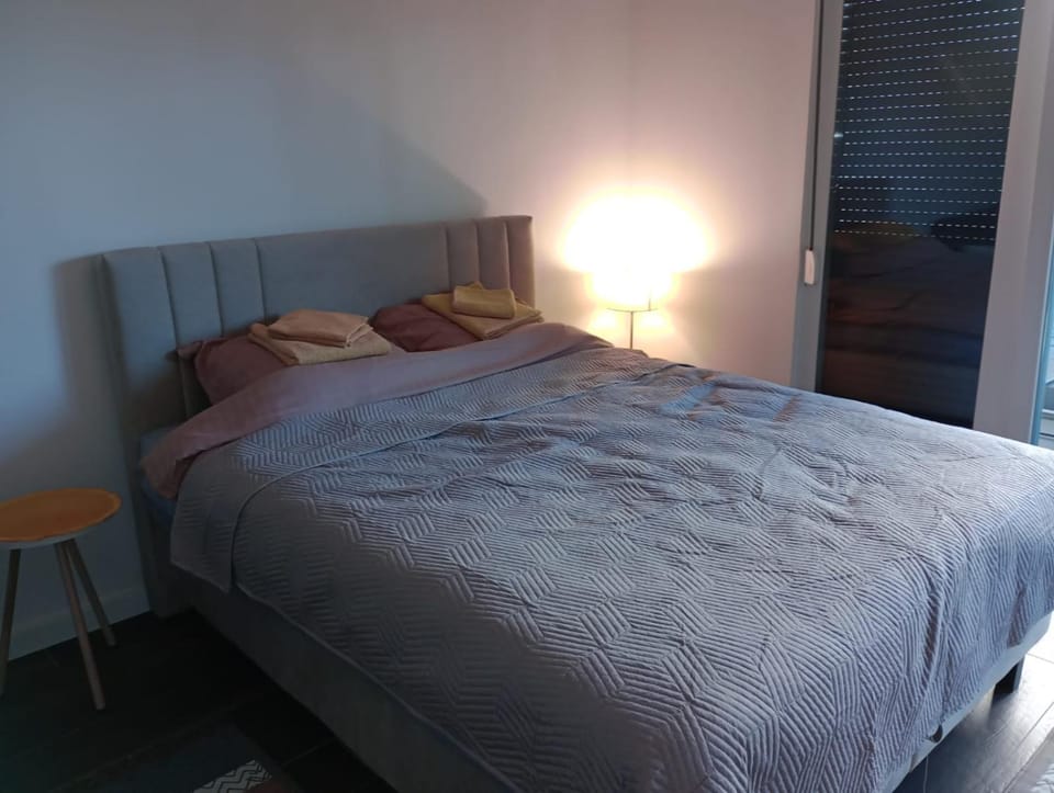 AN Jezero-Apartman Jaki 12 Apartment in Serbia