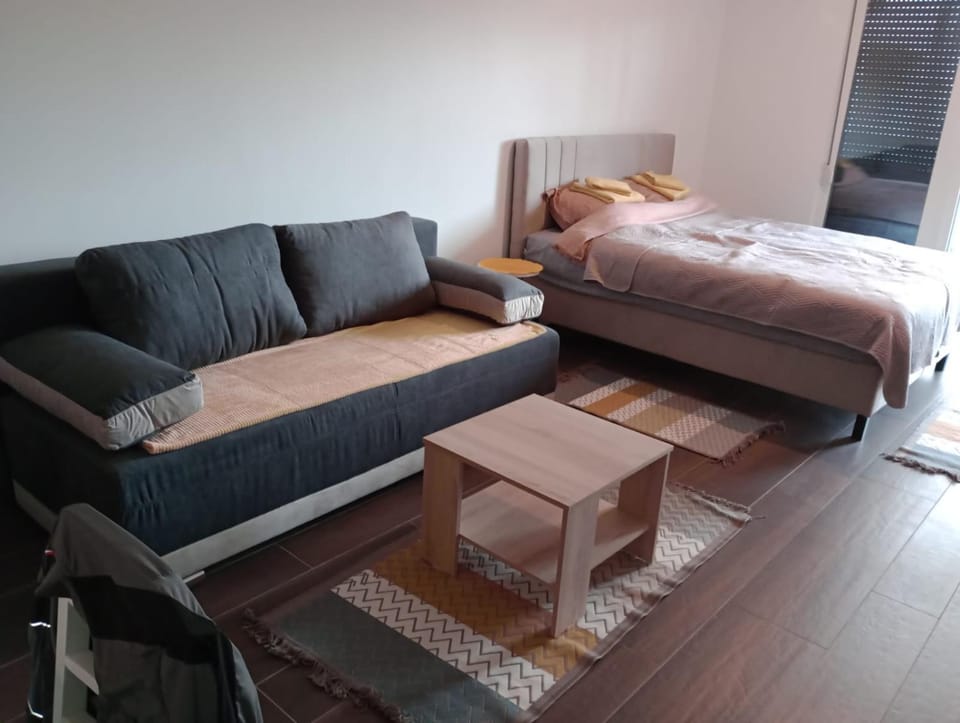AN Jezero-Apartman Jaki 12 Apartment in Serbia
