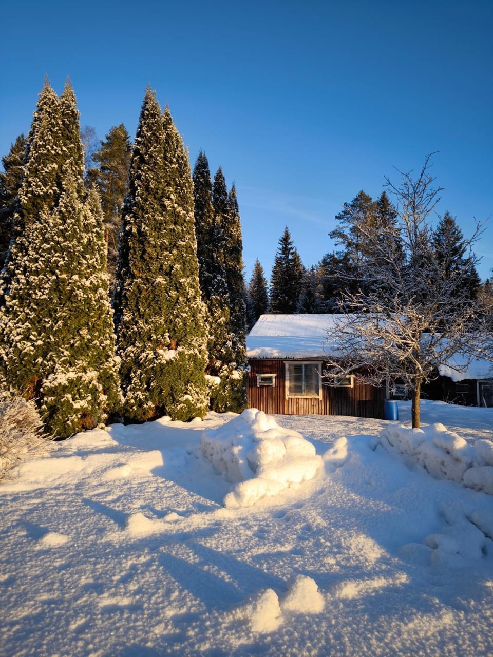 Embracing nature's Swedish house Villa in Sweden