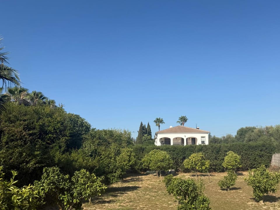 Property building, Garden