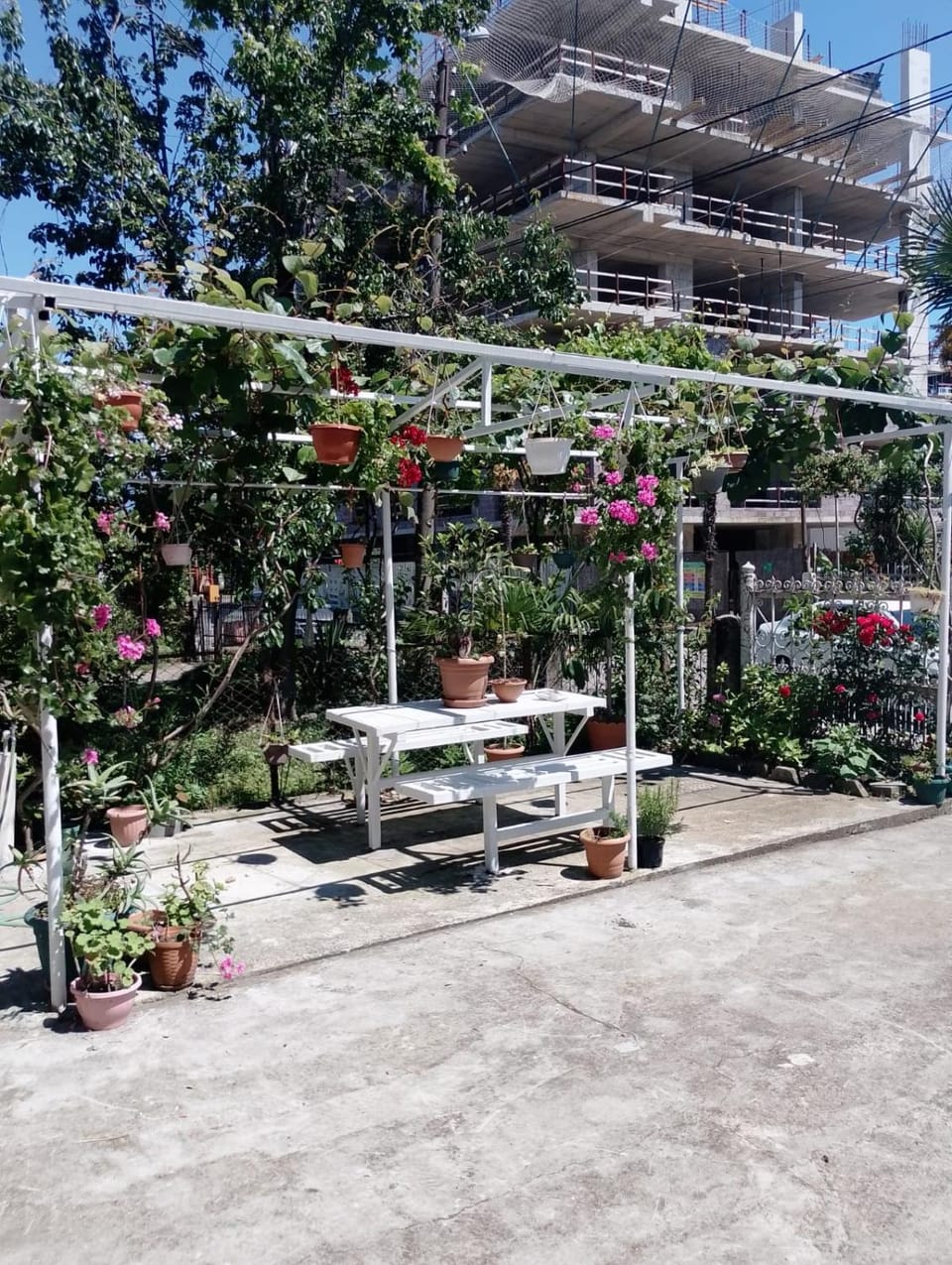 Villa Kosmopoliten Apartment in Adjara, Georgia