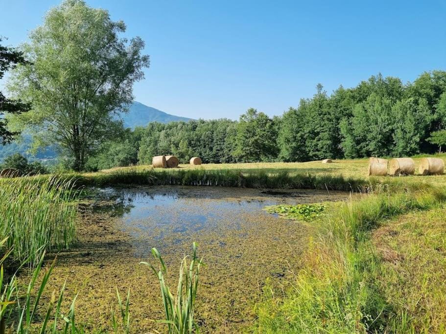 Lake view