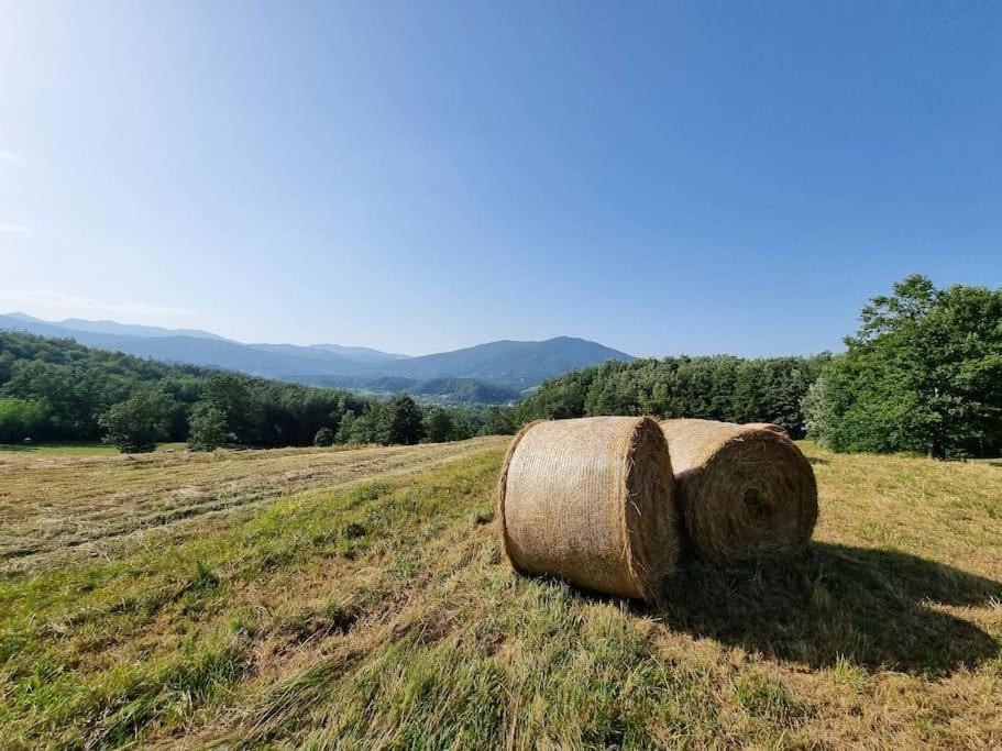 Natural landscape