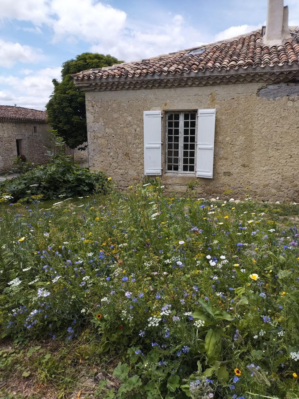 Chartreuse du XVIIIe House in Occitanie