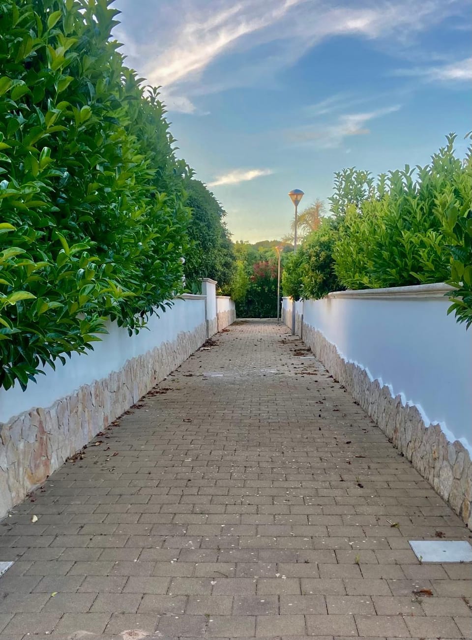 Romano Holiday 3 Apartment in Torre Vado