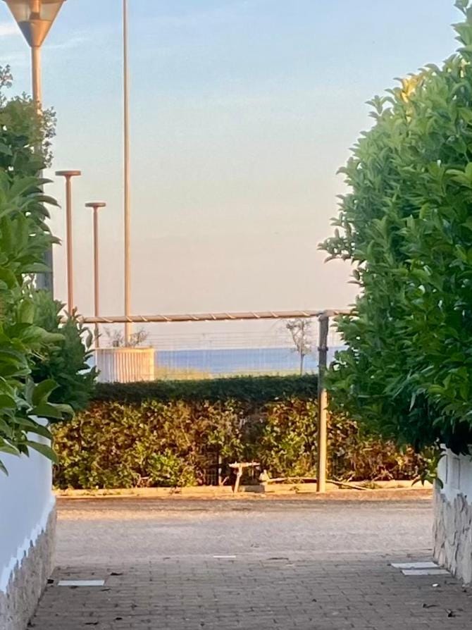 Romano Holiday 3 Apartment in Torre Vado