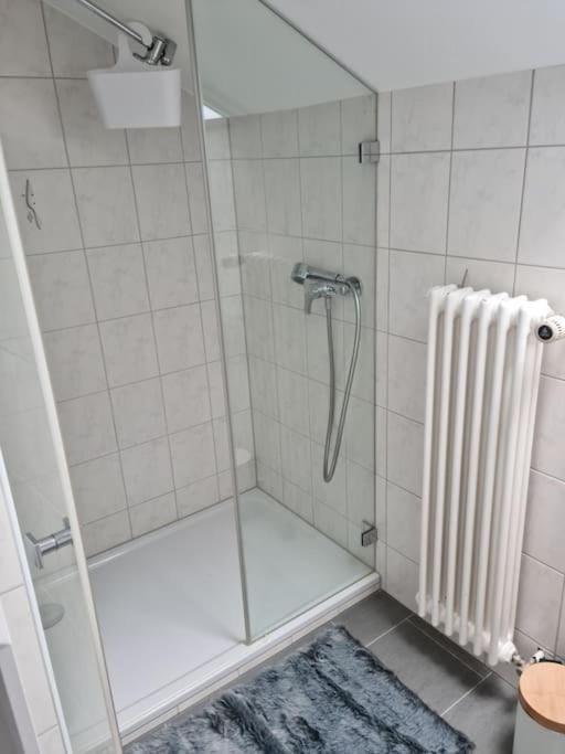 appartement 3 pce Apartment in Switzerland