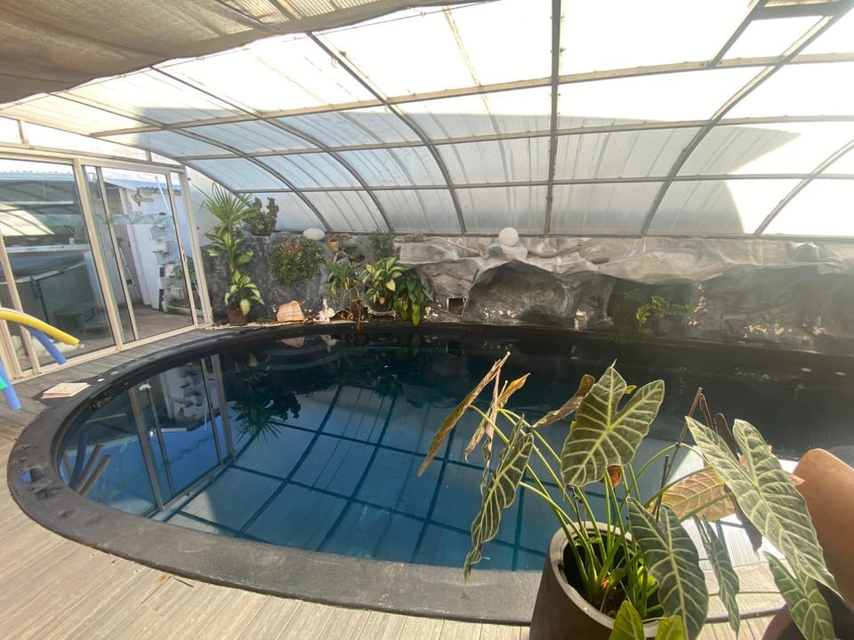 Pool view, Swimming pool, Swimming pool