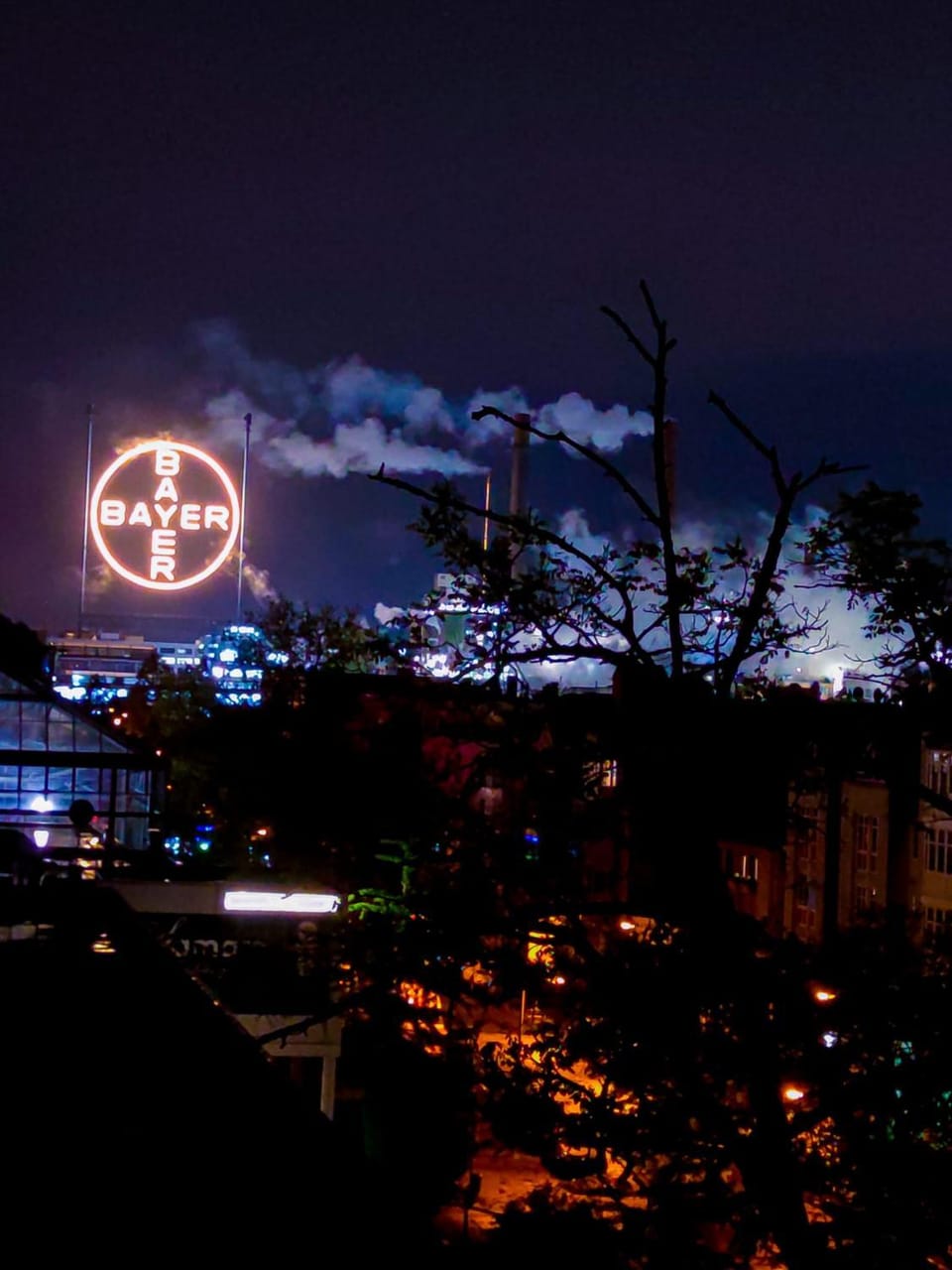 View (from property/room)