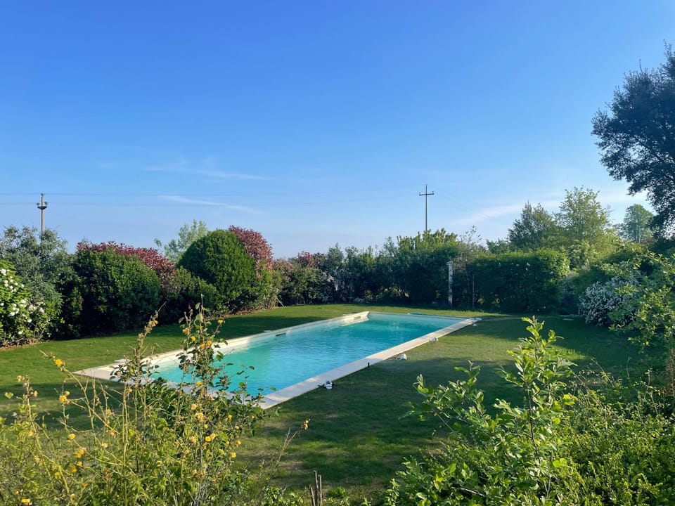 Swimming pool, Swimming pool