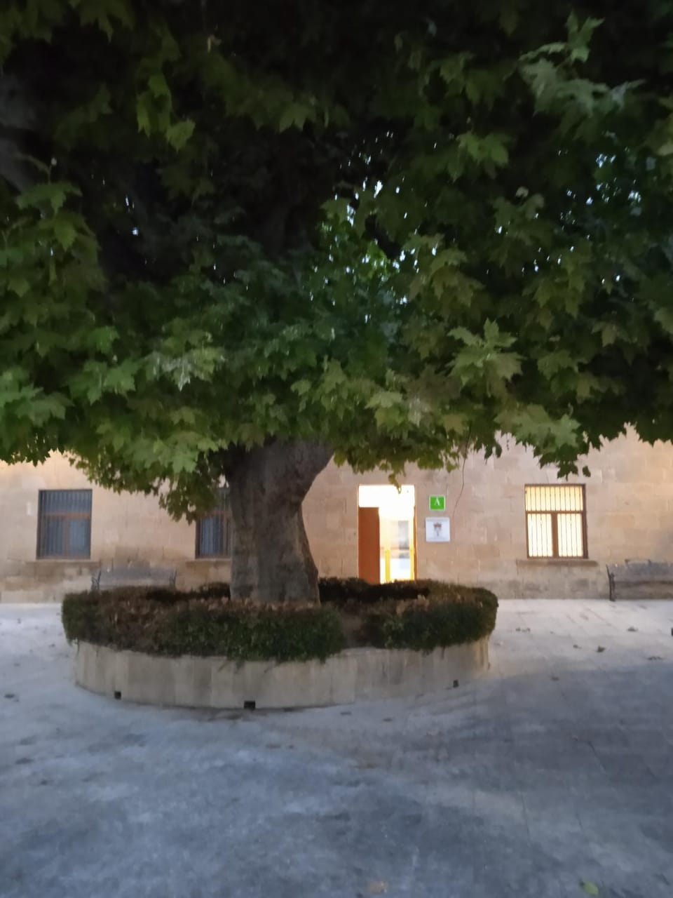 Property building