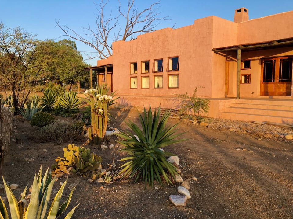 Property building, Garden view